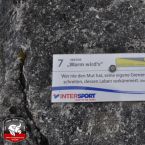 20150411-klettersteig-mahdlgupf010.jpg