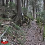 20150411-klettersteig-mahdlgupf034.jpg
