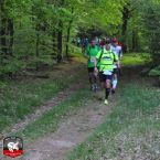 20150509-supermarathon-rennsteig008.jpg