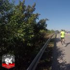 20150830-halbmarathon-kissing009.jpg
