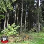 20150509-supermarathon-rennsteig015.jpg