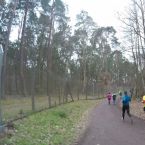 rodgau-ultrmarathon2016-006.jpg