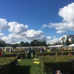 berlin-marathon2015-013.jpg